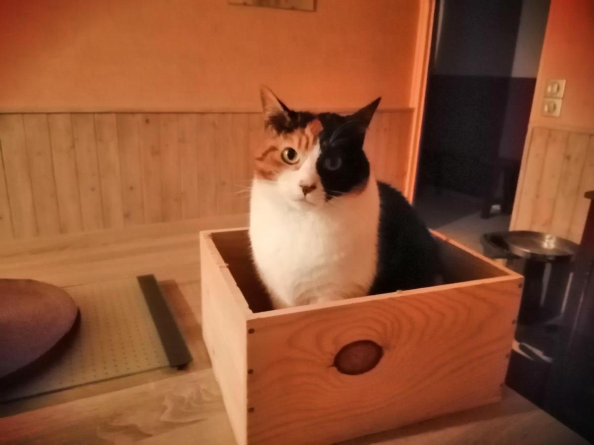 Grande Chambre D'Hote Proche Disneyland Et Parc Des Felins Guérard エクステリア 写真